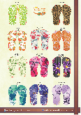 catalogo